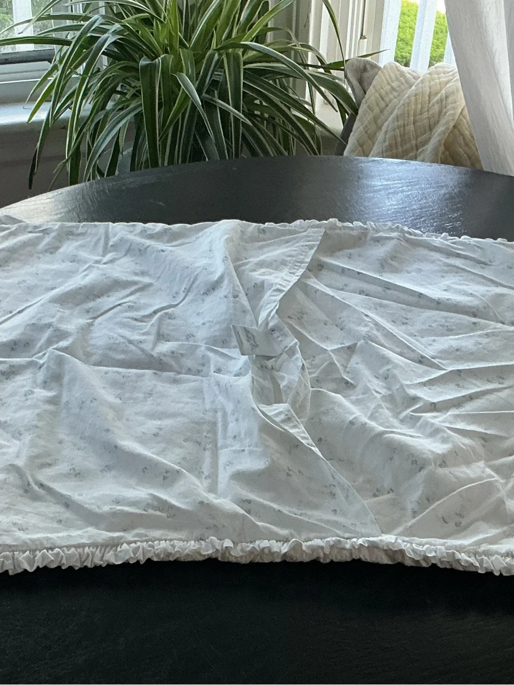 EUC Simply Shabby Chic Ruffled Pillow Sham